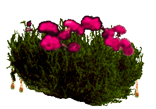 1585288293 1468 FT3390 Plant