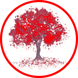 1623446273 1363 FT0 Tree Red